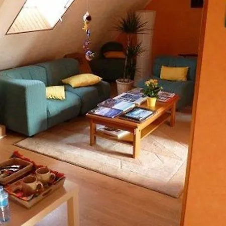 特米埃尔酒店 住宿加早餐酒店