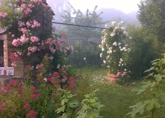 住宿加早餐酒店 特米埃尔酒店 3*