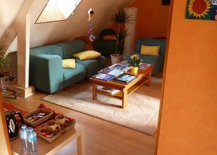 特米埃尔酒店 住宿加早餐酒店