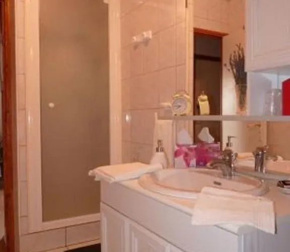 住宿加早餐酒店 特米埃尔酒店 3*