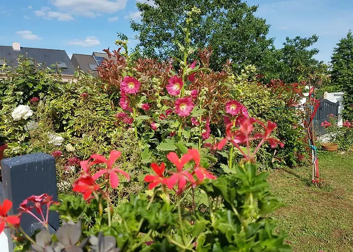 特米埃尔酒店 住宿加早餐酒店
